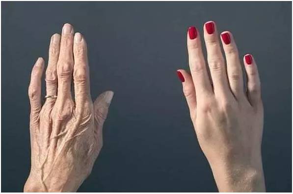 必赢76net线路官网寿命