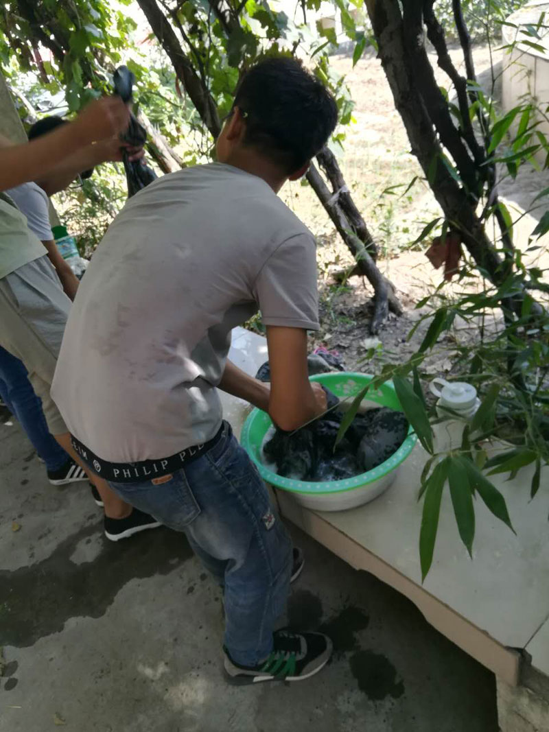 必赢76net线路官网老师教学生洗衣服